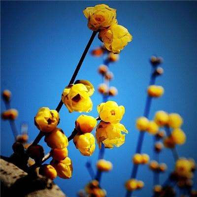 彩神lllv入口app下载