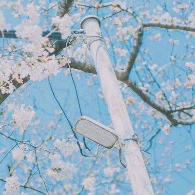 彩神lllv入口app下载